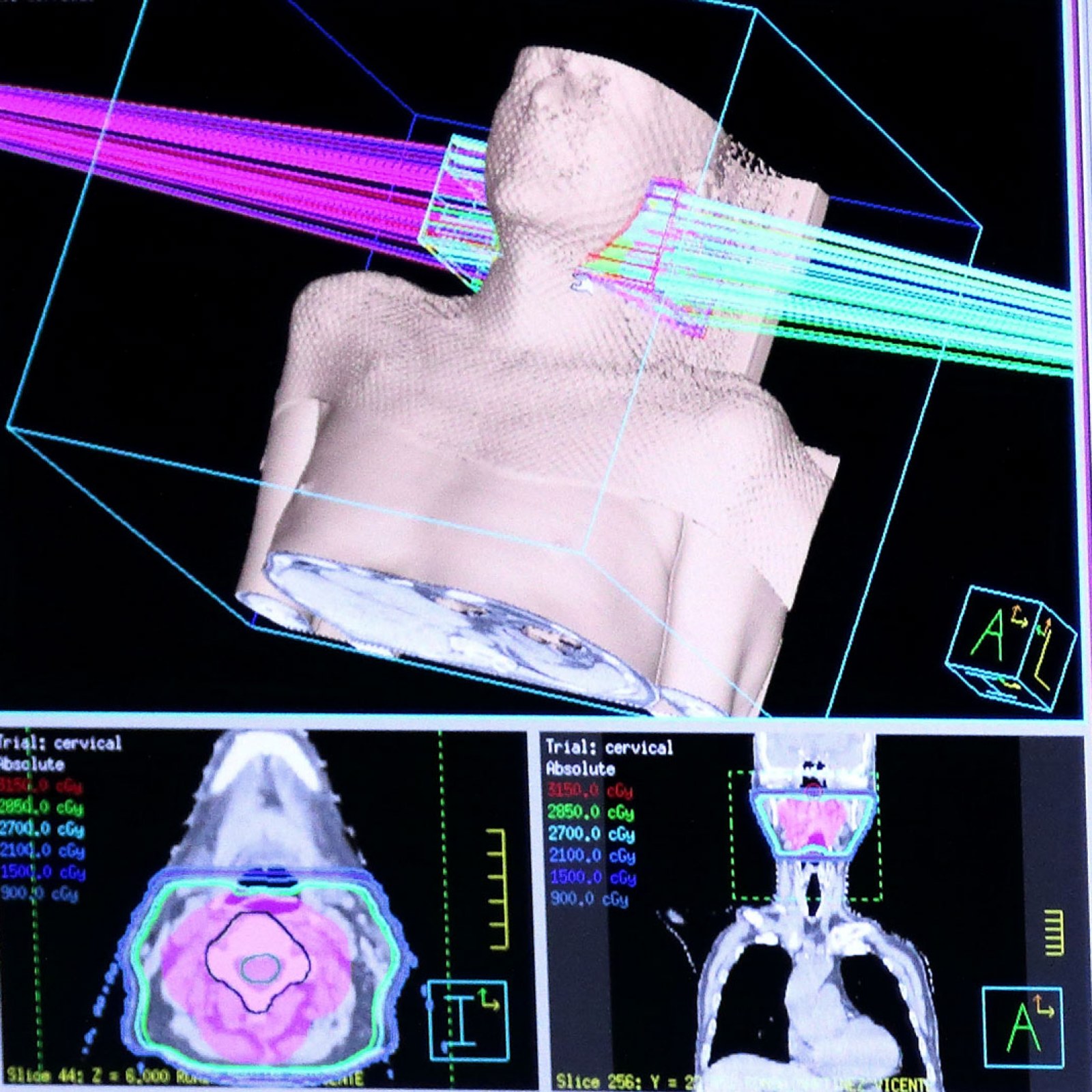 <?php echo pulse_output(); ?>