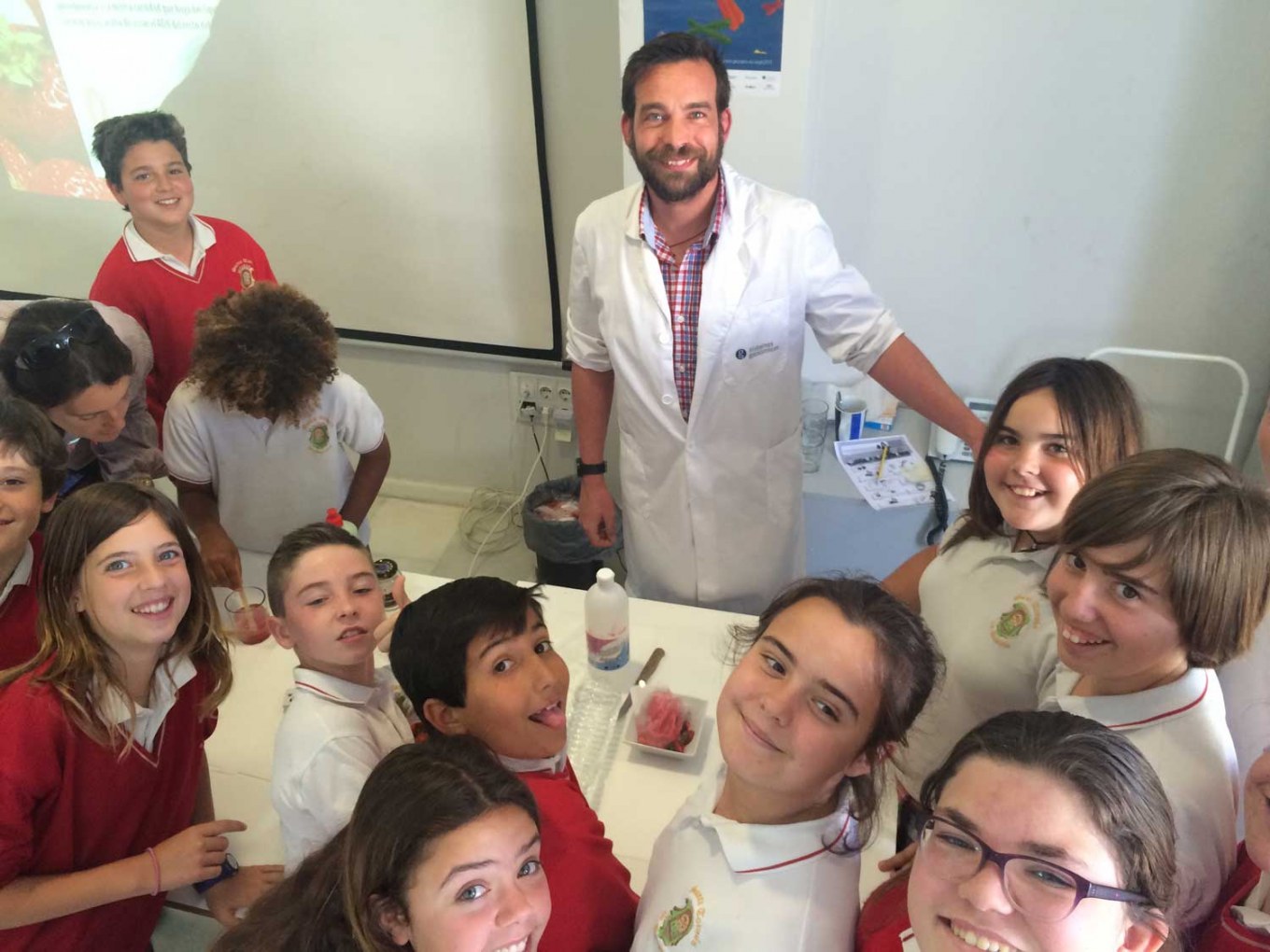 <?php echo pulse_output(); ?>