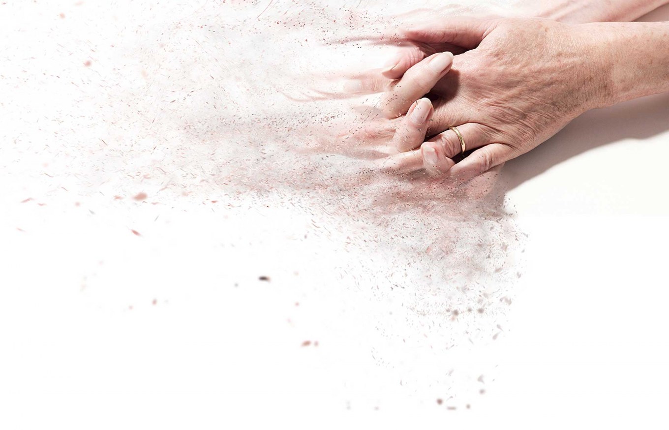 <?php echo pulse_output(); ?>