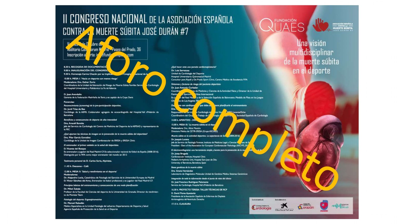 <?php echo pulse_output(); ?>