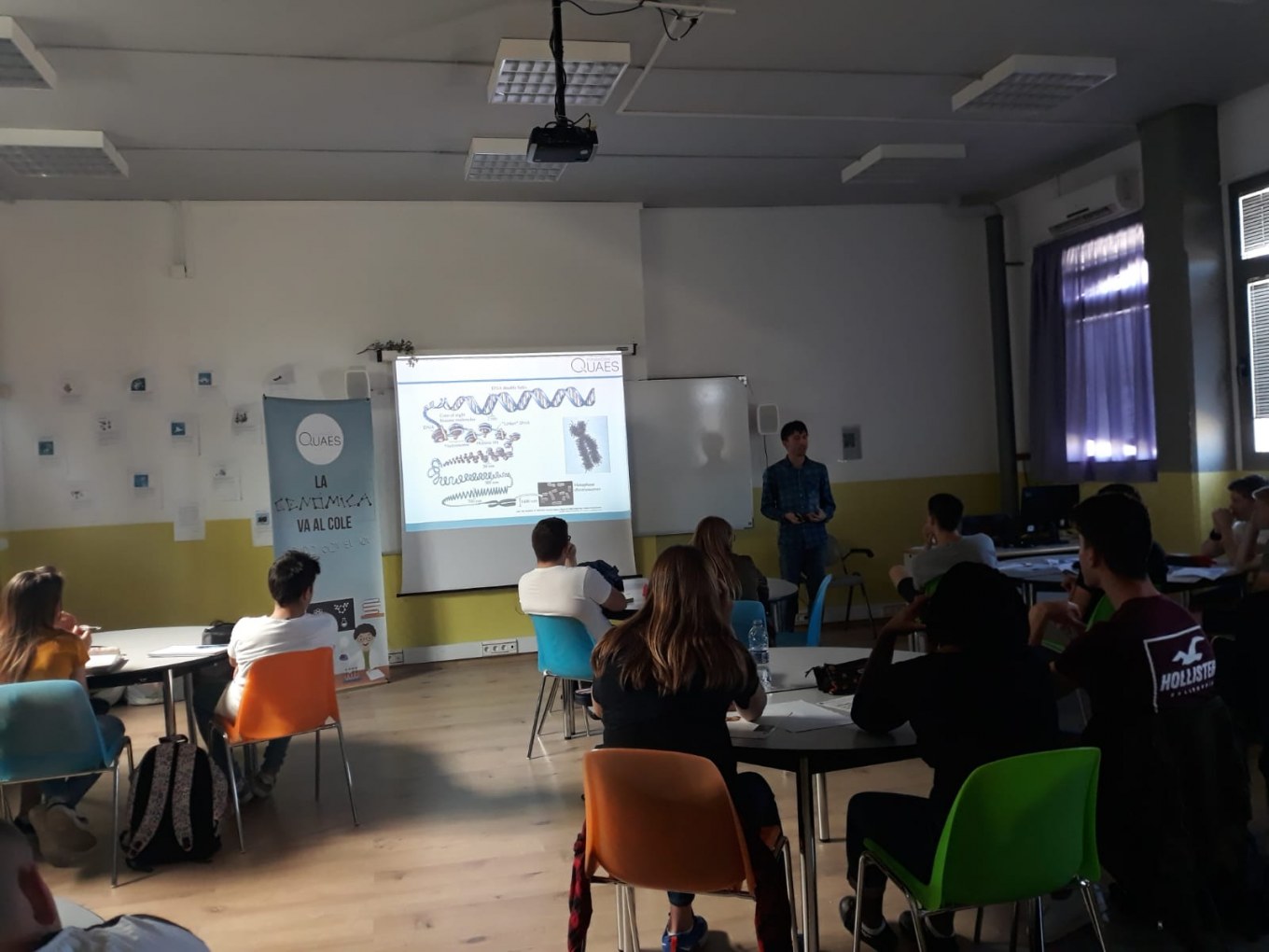 <?php echo pulse_output(); ?>