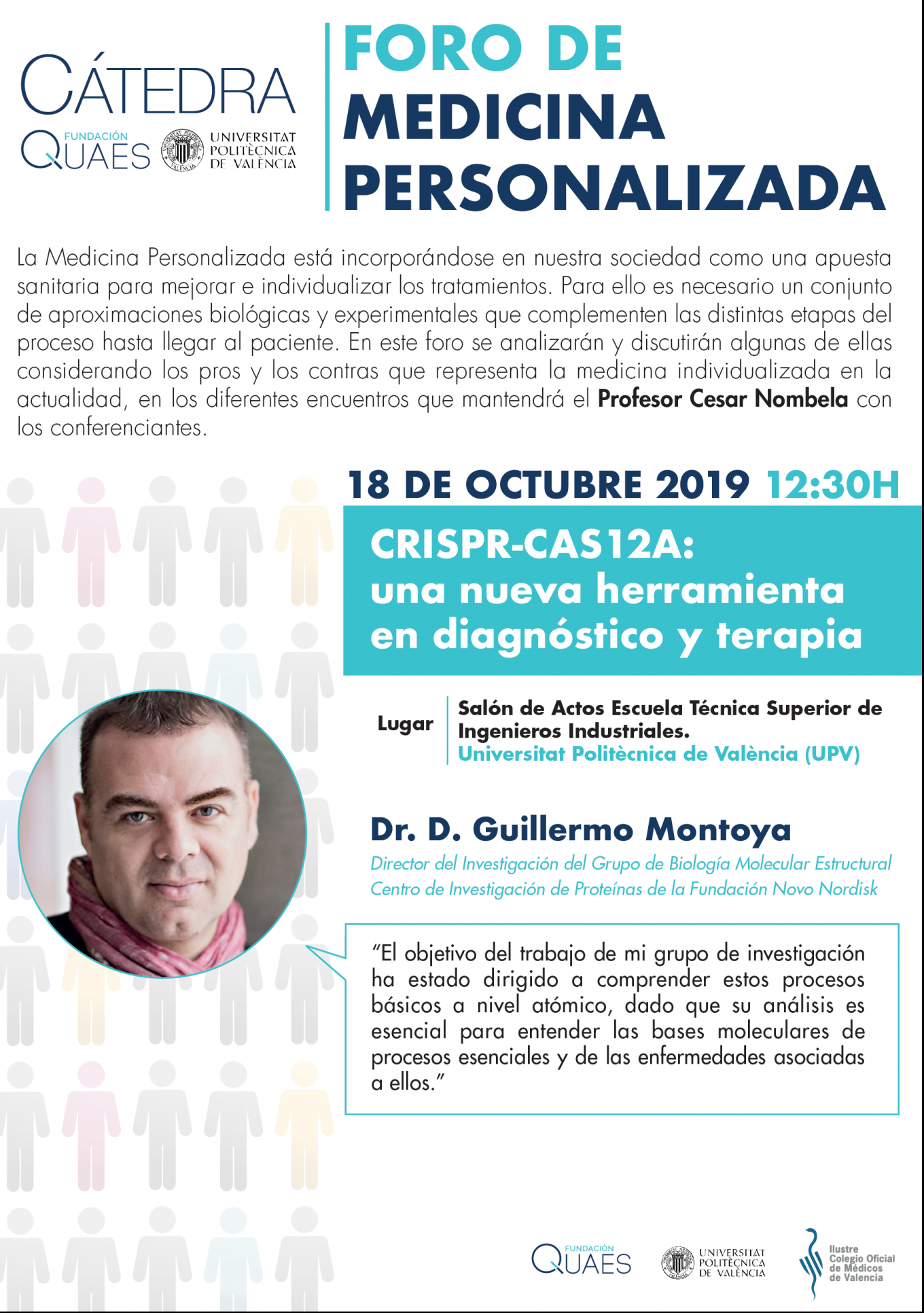 <?php echo pulse_output(); ?>