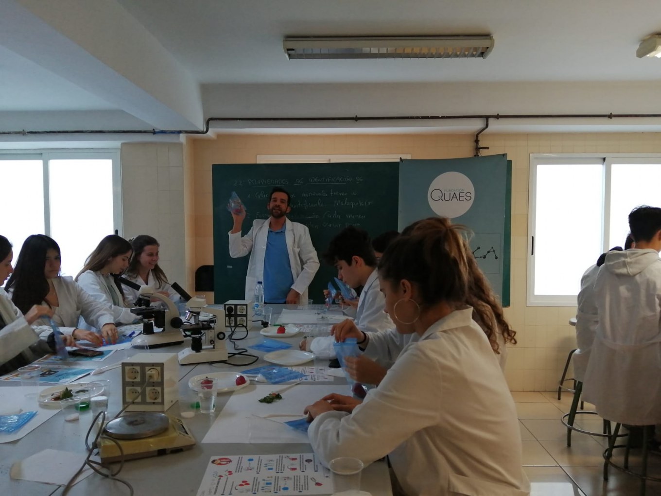 <?php echo pulse_output(); ?>