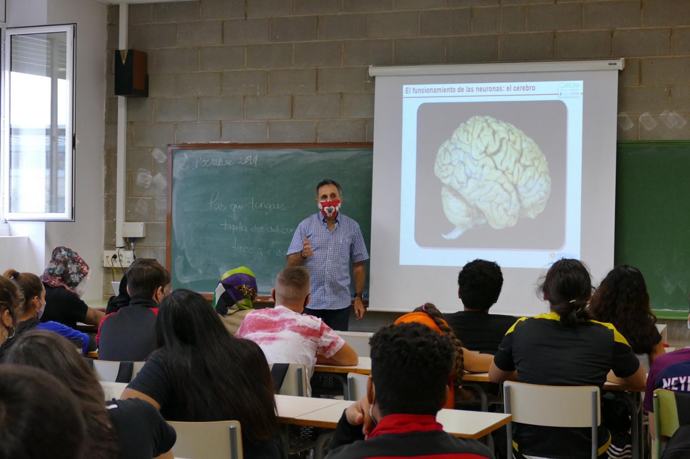 <?php echo pulse_output(); ?>