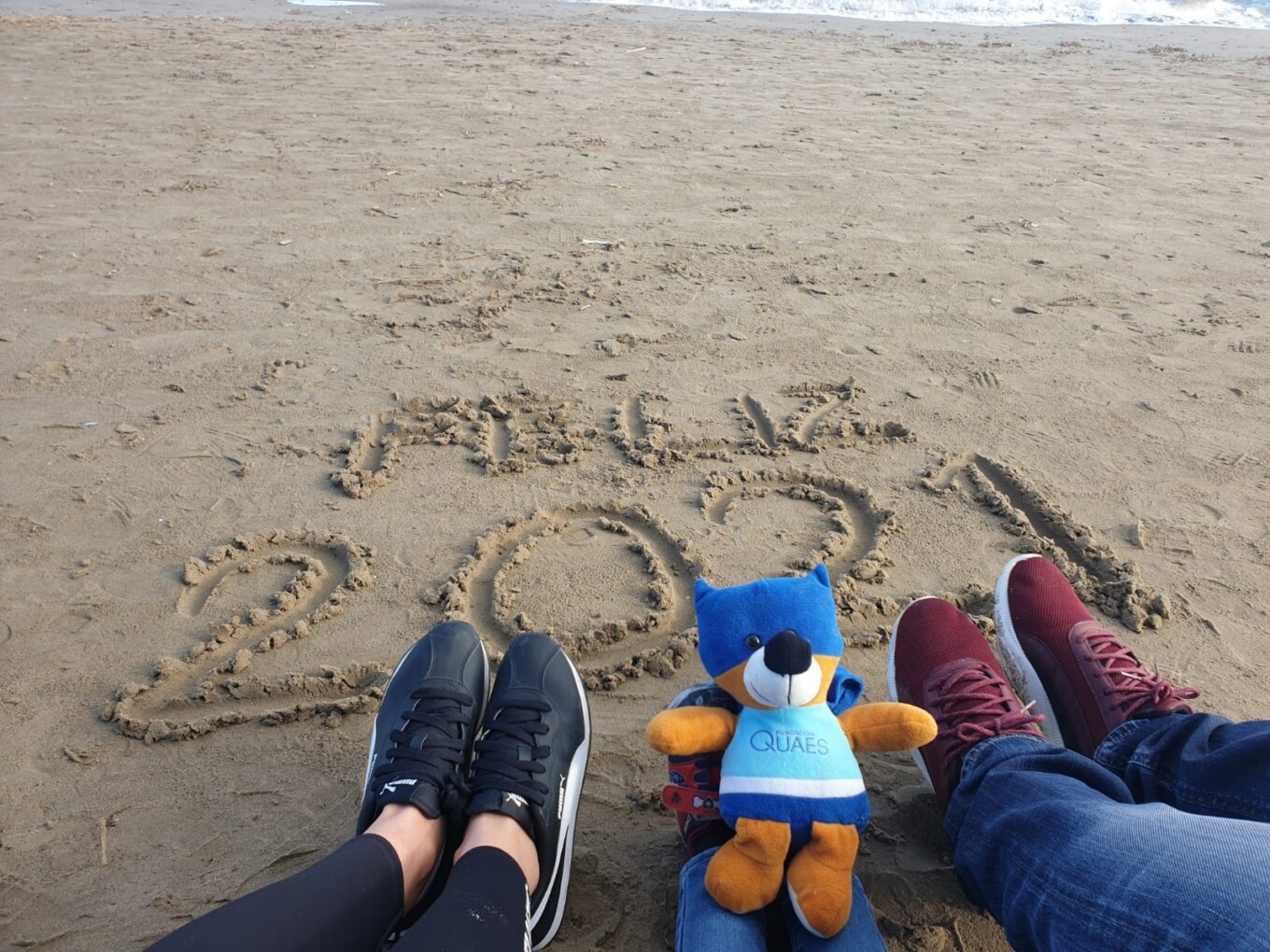 <?php echo pulse_output(); ?>