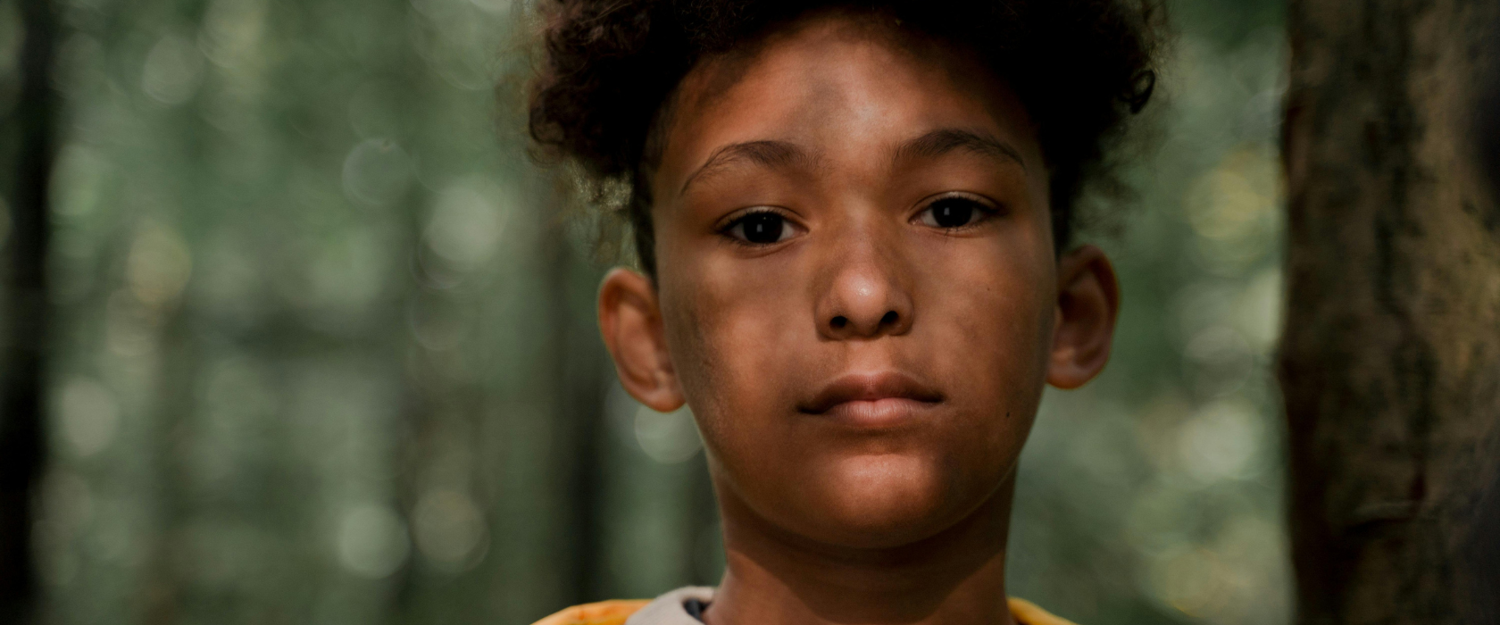 <?php echo pulse_output(); ?>