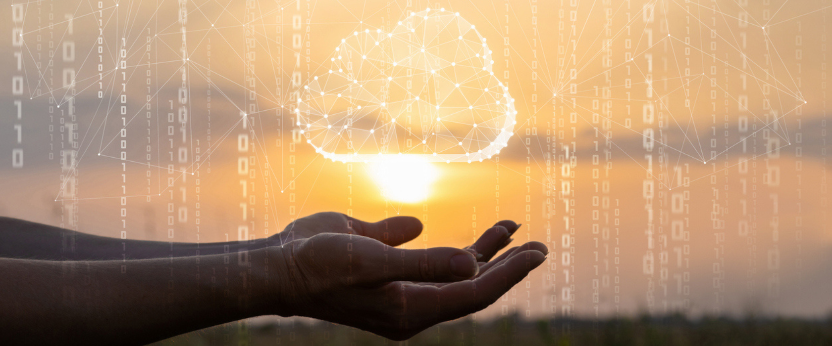 <?php echo pulse_output(); ?>