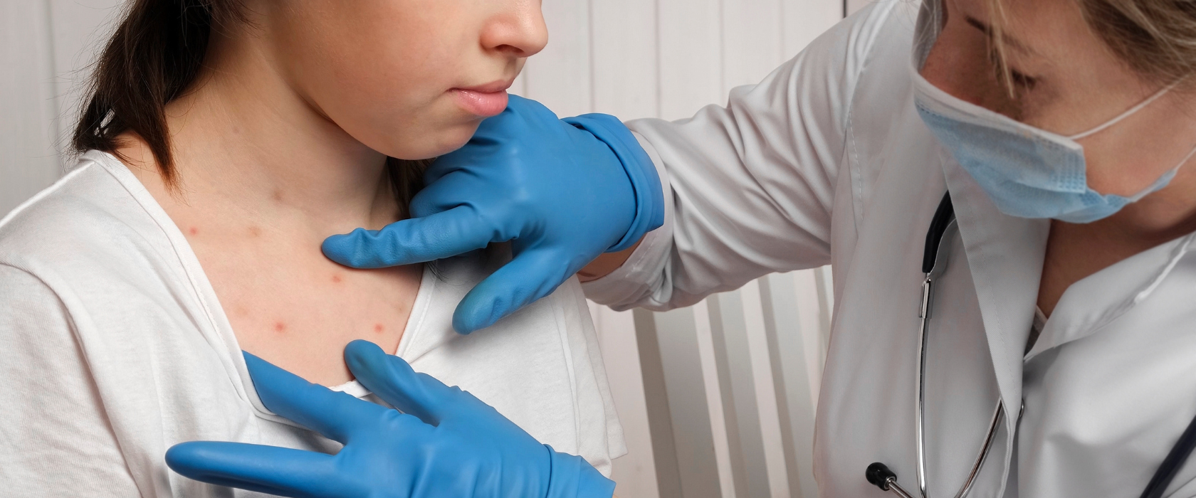 <?php echo pulse_output(); ?>