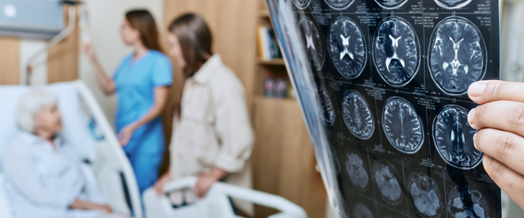 <?php echo pulse_output(); ?>