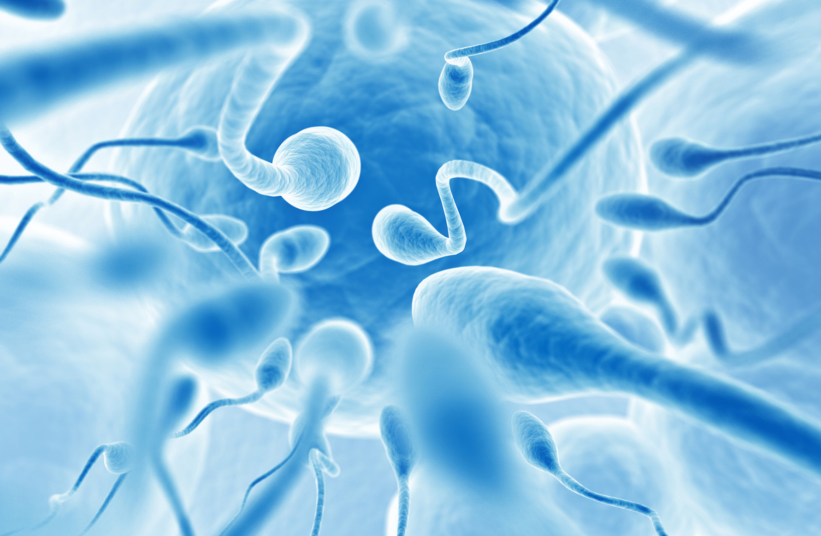 <?php echo pulse_output(); ?>