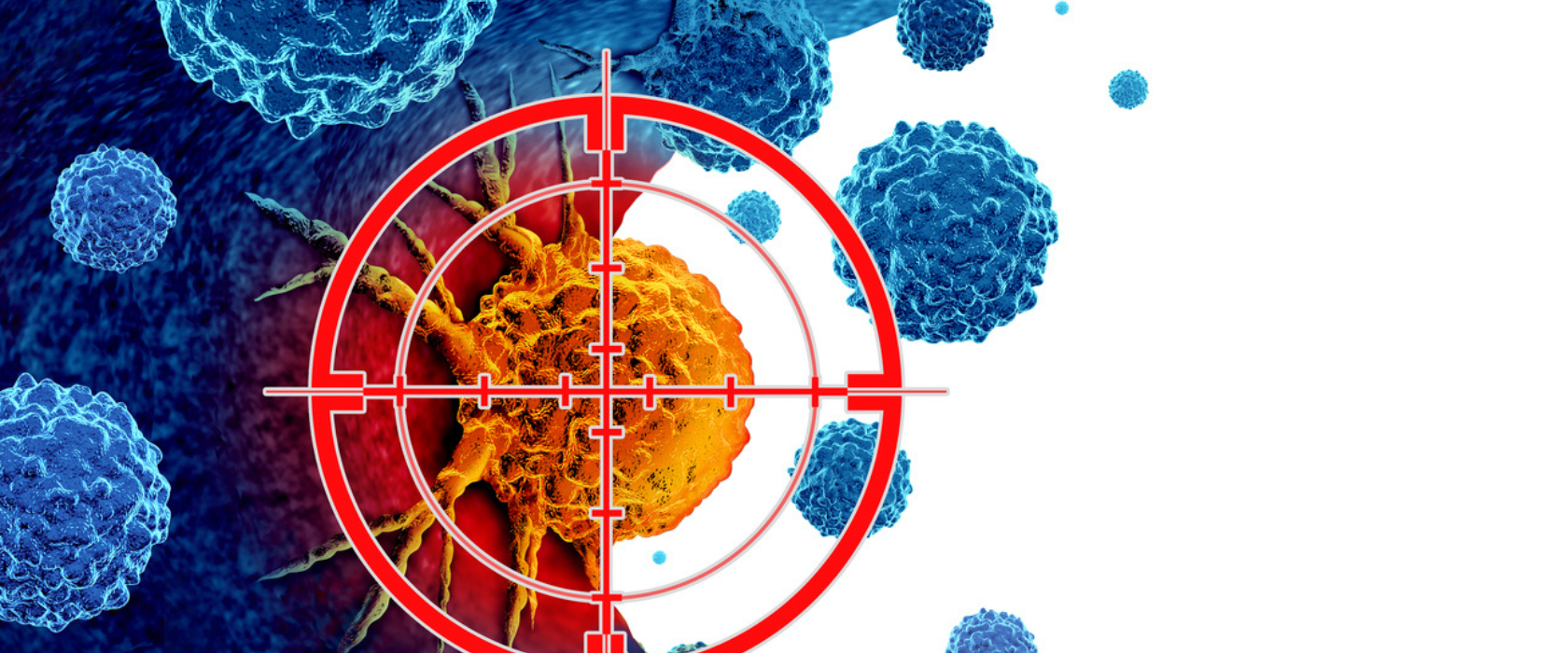 <?php echo pulse_output(); ?>