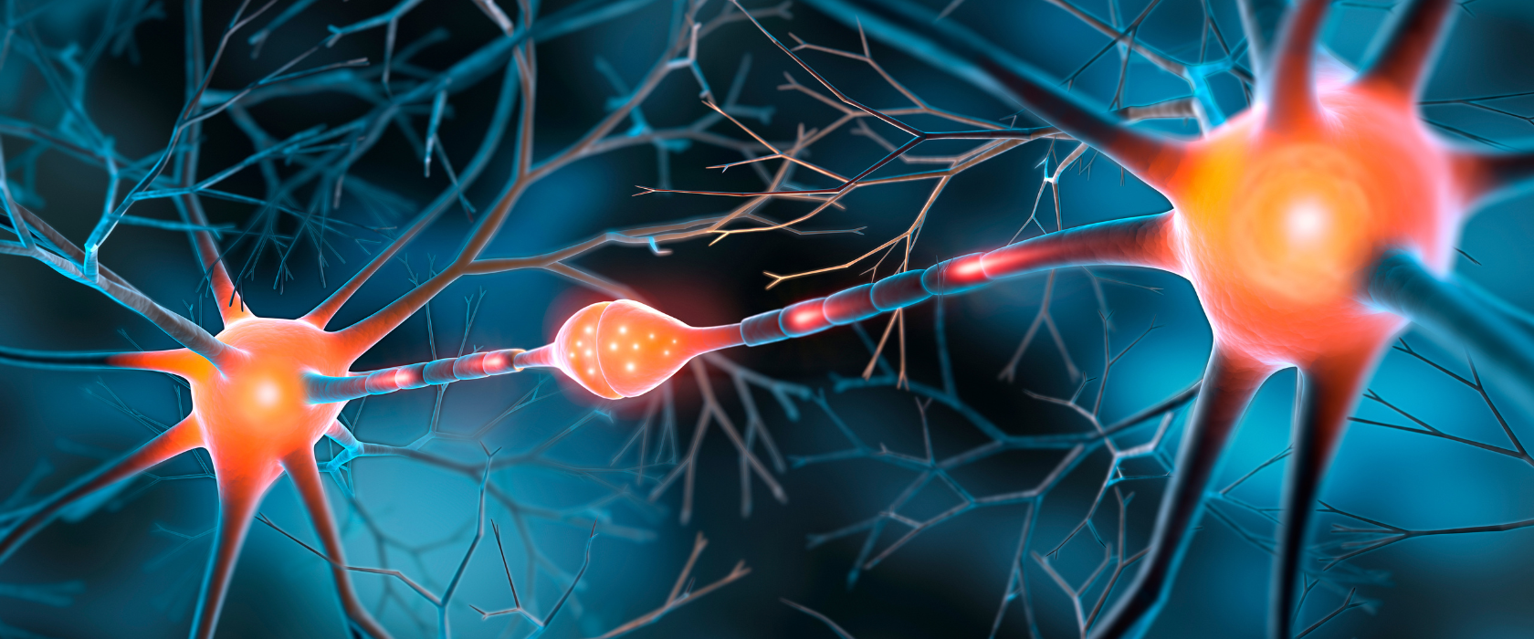 <?php echo pulse_output(); ?>