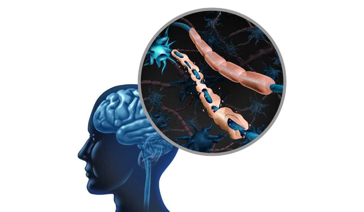 <?php echo pulse_output(); ?>