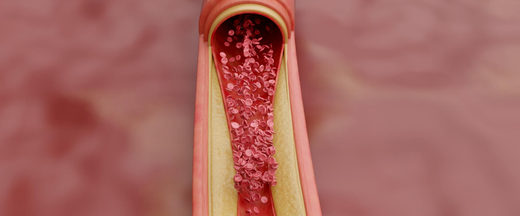 <?php echo pulse_output(); ?>