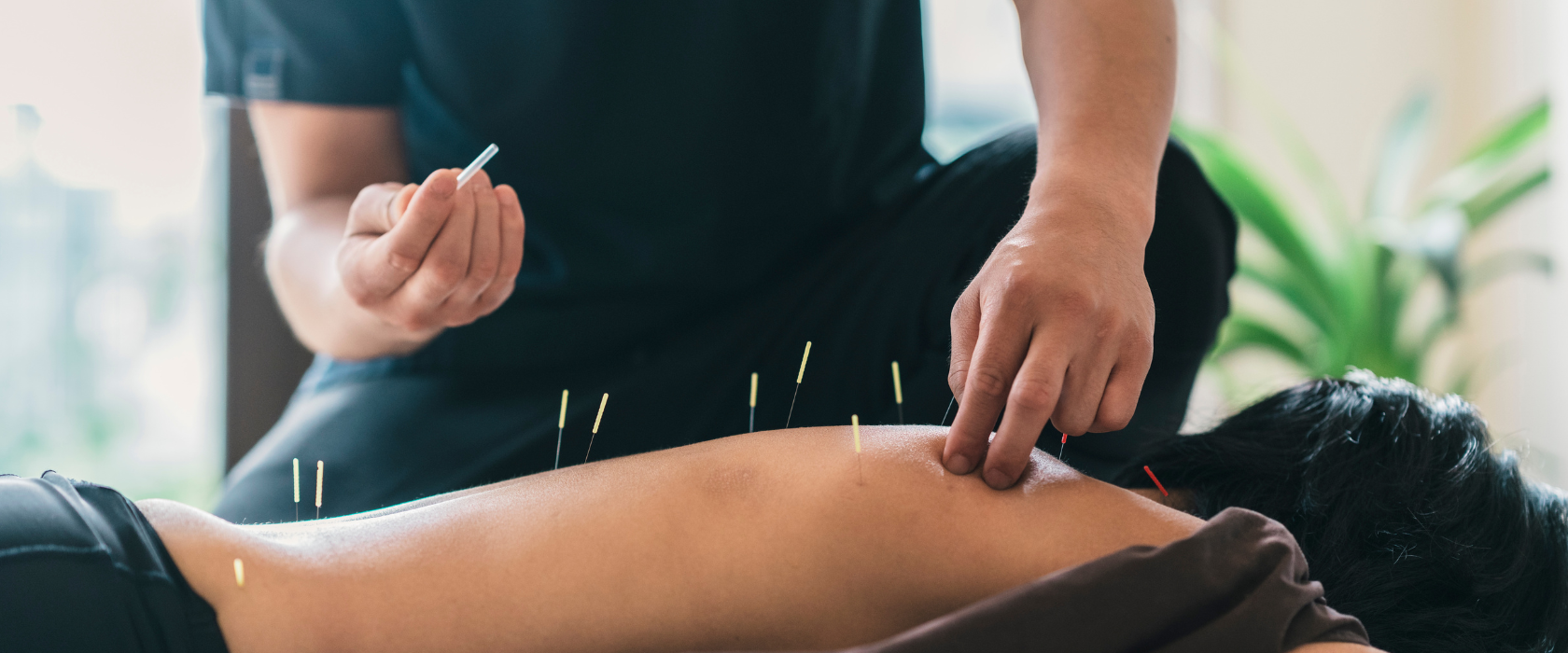 <?php echo pulse_output(); ?>