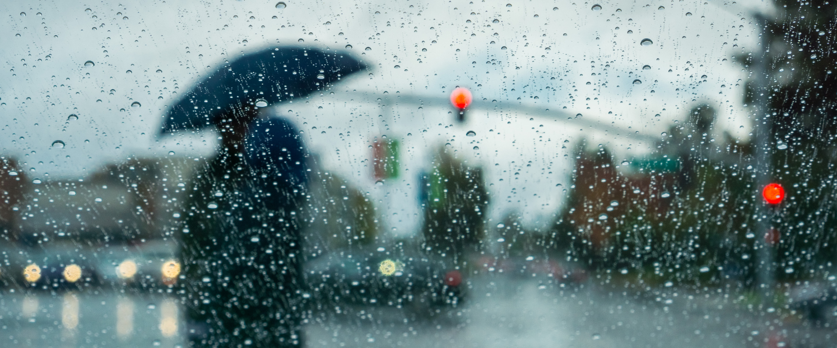 <?php echo pulse_output(); ?>