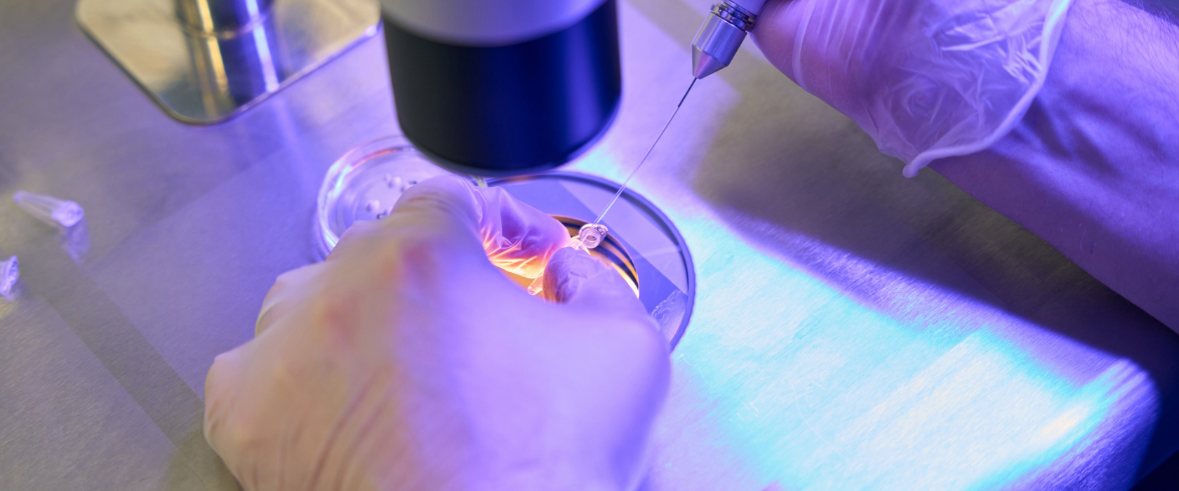 <?php echo pulse_output(); ?>