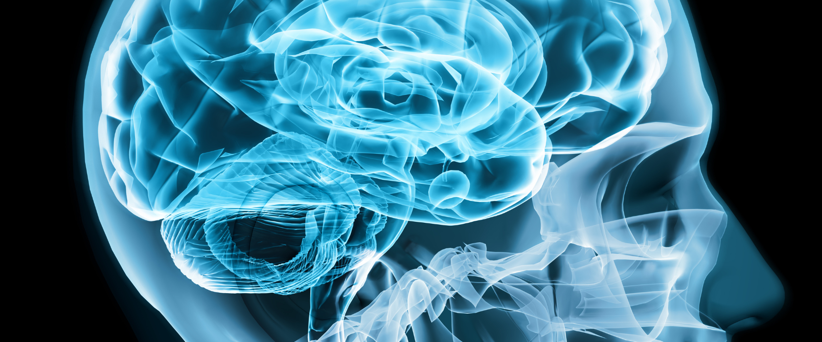 <?php echo pulse_output(); ?>