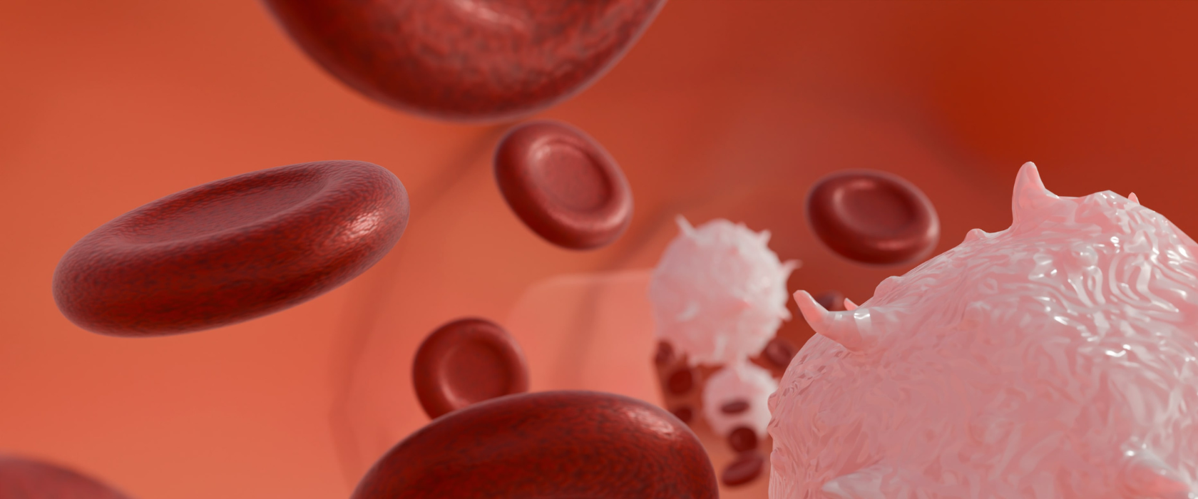 Una terapia CAR-T elaborada en La Paz logra que siete jóvenes con leucemia queden libres de enfermedad (2)