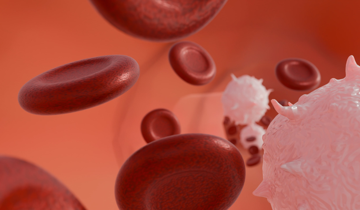 <?php echo pulse_output(); ?>