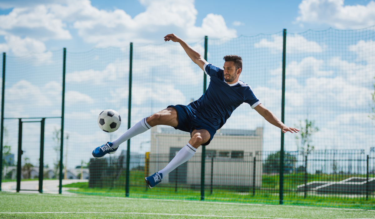 <?php echo pulse_output(); ?>