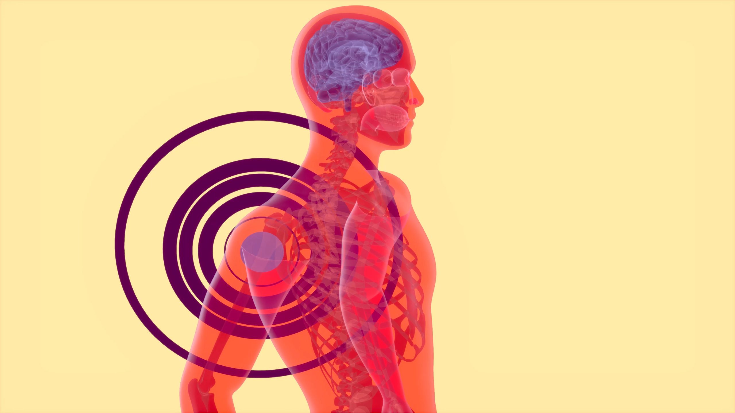 3D abstract anatomy concept of a shoulder pain