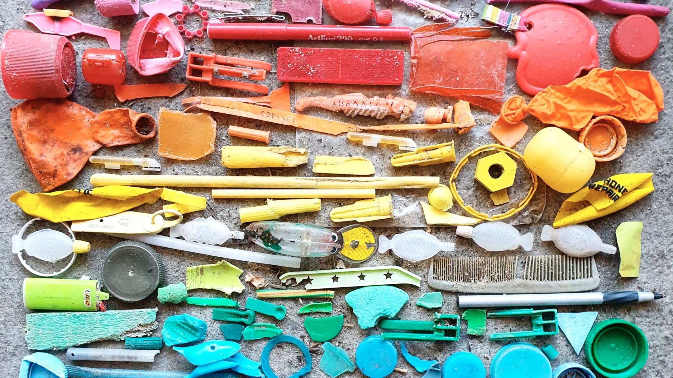 <?php echo pulse_output(); ?>