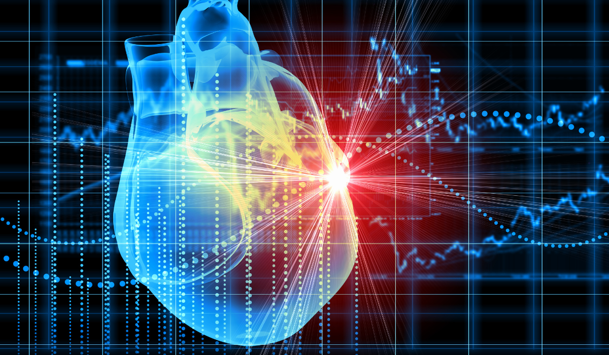 <?php echo pulse_output(); ?>
