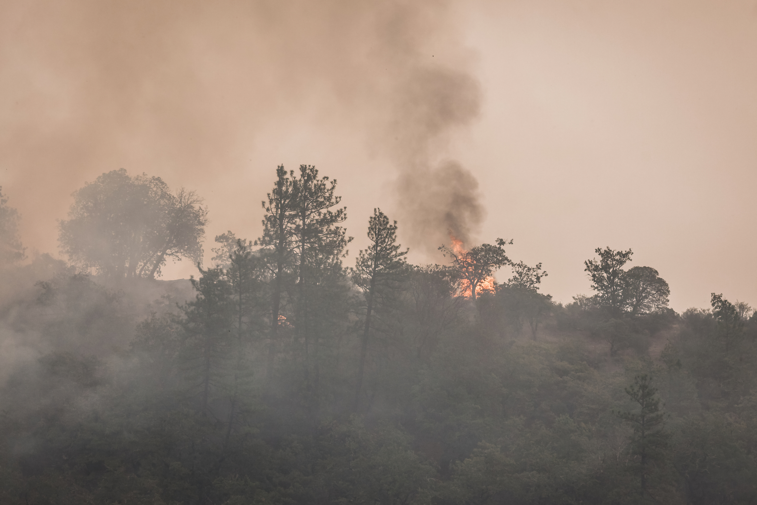 El-humo-de-los-incendios-forestales-aumenta-el-riesgo-de-accidentes-cerebrovasculares