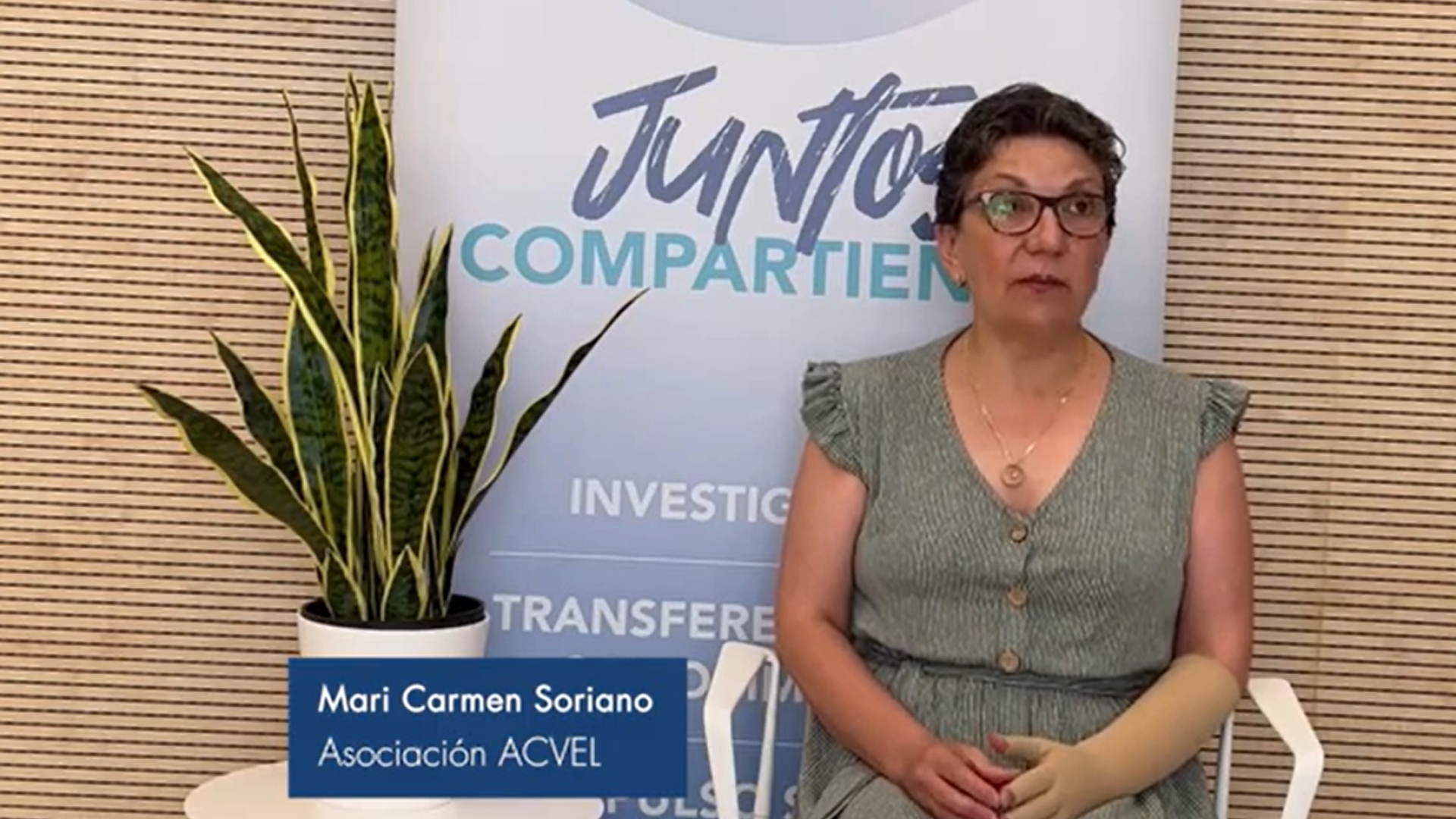 ACVEL