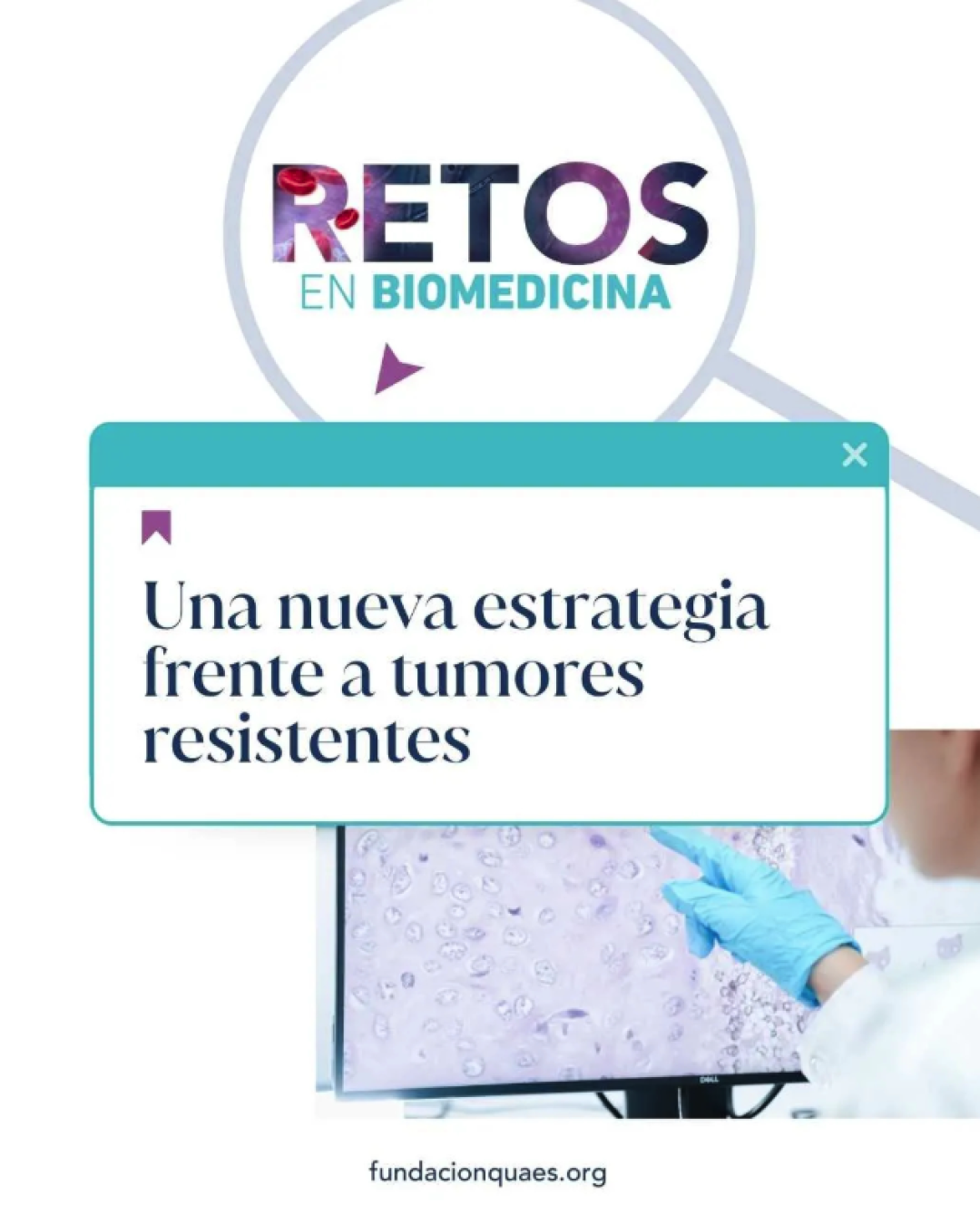 Captura de pantalla 2026-02-26 a las 13.03.36