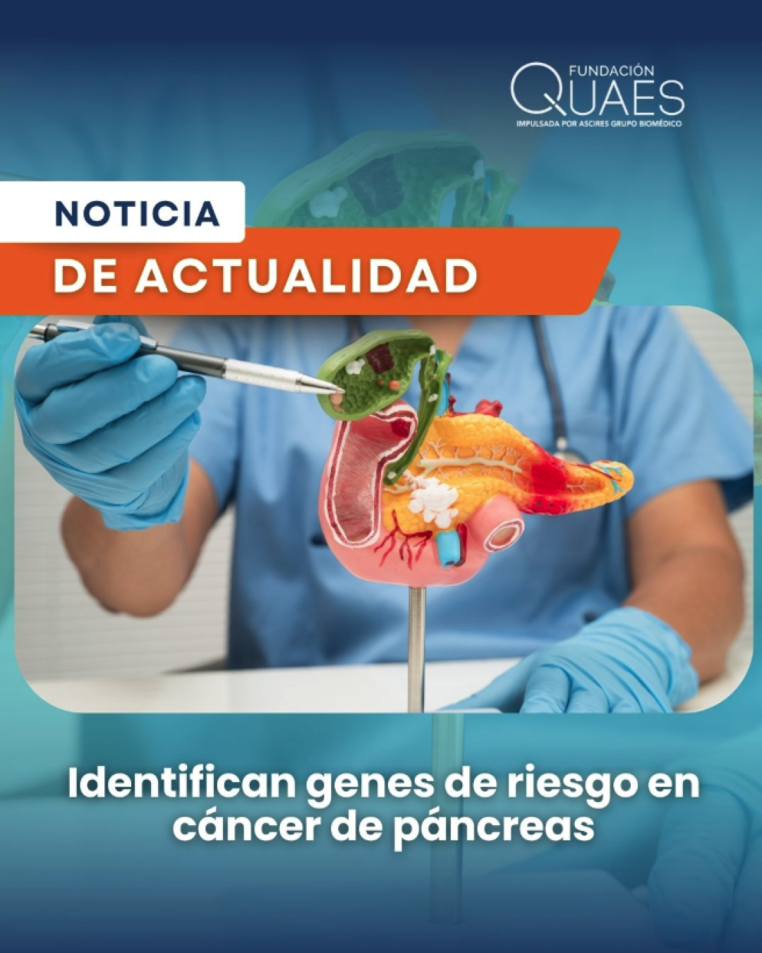 Captura de pantalla 2026-02-26 a las 13.04.09